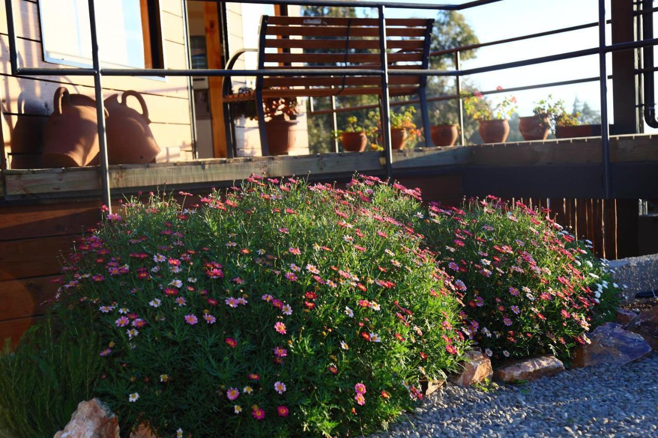 Cabanas Y Spa Costa Patagonia - Piscina Climatizada Pichilemu Dış mekan fotoğraf