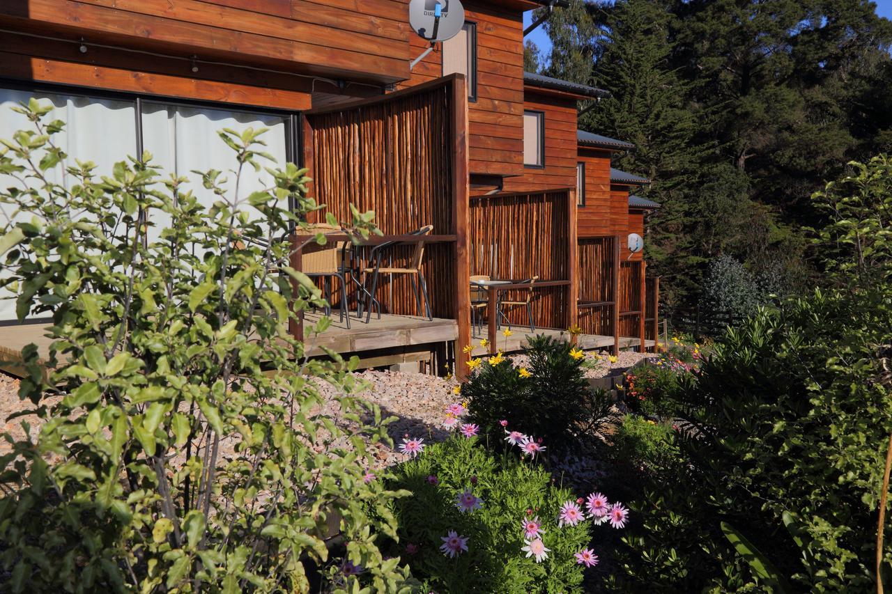 Cabanas Y Spa Costa Patagonia - Piscina Climatizada Pichilemu Dış mekan fotoğraf